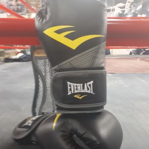 Everlast 10 ounce gloves