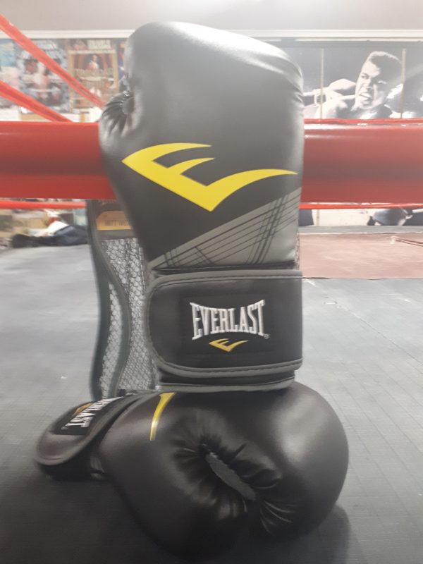 Everlast 10 ounce gloves